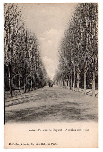 Postal antigo do Porto - Palácio de Cristal, Avenida das Tílias. Edição Alberto Ferreira