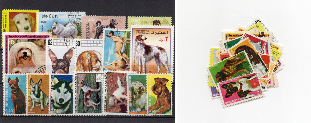 40 selos diferentes de cães