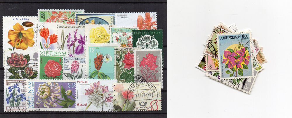 50 selos diferentes de flores