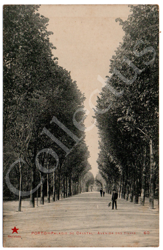 Postal antigo do Porto – Palácio de Cristal – Avenida das Tílias. Edição Estrela Vermelha