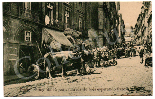 Postal antigo do Porto – Praça da Ribeira (carros de bois esperando fretes)