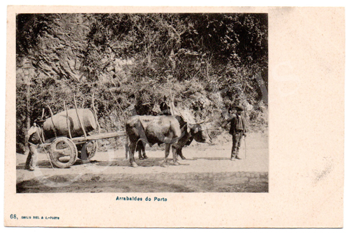 Postal antigo Arrabaldes do Porto. Edição Emílio Biel
