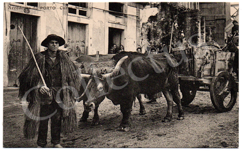 Postal antigo Arredores do Porto –Carro de bois