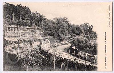 Postal antigo de Figueiró dos Vinhos - Arredores - A Fontinha