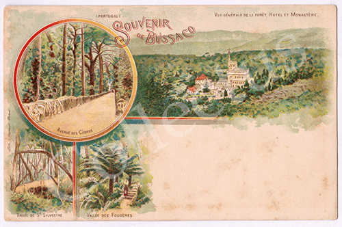 Postal antigo do Bussaco