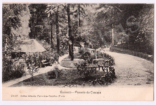 Postal antigo do Bussaco