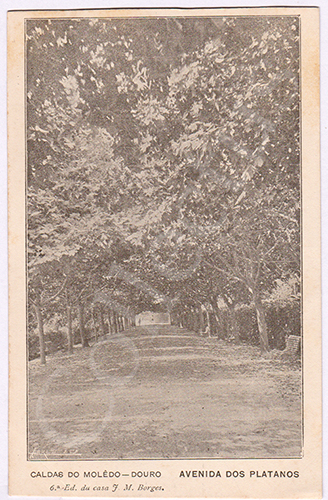 Postal antigos Caldas do Moledo