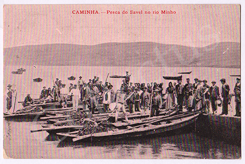 Postal antigo de Caminha