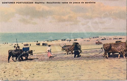 Postal antigo de Espinho