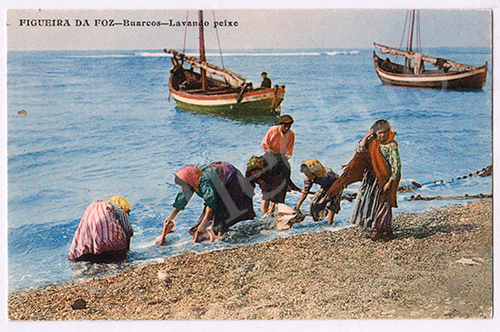 Postal antigo da Figueira da Foz