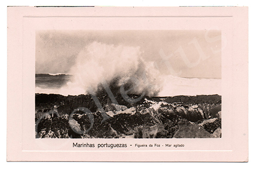 Postal antigo da Figueira da Foz