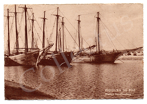 Postal antigo da Figueira da Foz