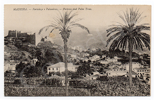 Postal antigo de Madeira