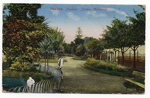 Postal antigo de Madeira