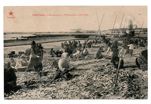 Postal antigo de Matosinhos