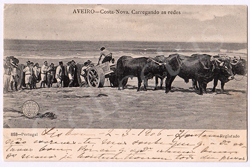 Postal antigo de Aveiro