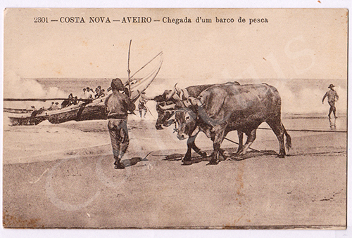 Postal antigo de Aveiro