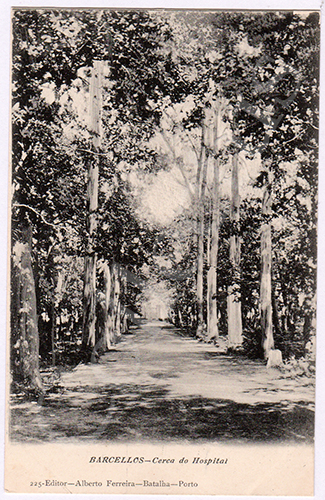 Postal antigo de Barcelos