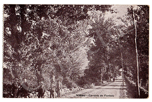 Postal antigo de Viseu