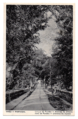 Postal antigo de Viseu