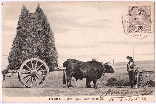 Postal antigo de costumes portugueses