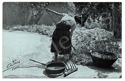 Postal antigo de costumes portugueses - Foto Alvão