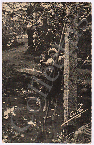 Postal antigo de costumes portugueses - Foto Alvão