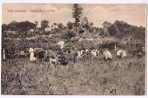 Postal antigo de costumes portugueses