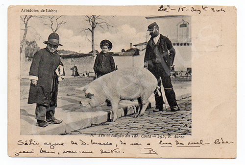 Postal antigo de Lisboa