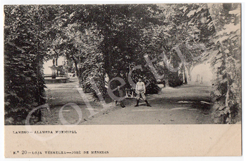 Postal antigo de Lamego